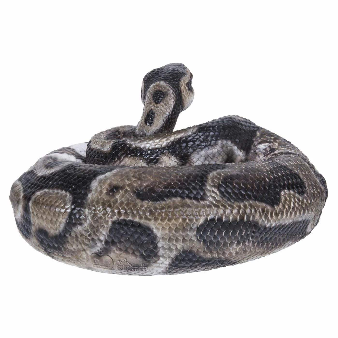 Cheapest ✨ Animal Statues Hi-Line Gift Ltd. Regius Ball Python Figurine 🔥 6 Cheapest ✨ Animal Statues Hi-Line Gift Ltd. Regius Ball Python Figurine 🔥 - Image 4