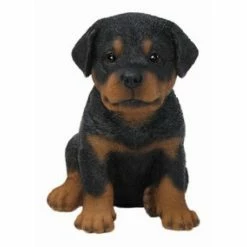 New 🔔 Animal Statues Hi-Line Gift Ltd. Sitting Rottweiler Puppy Garden Statue 🌟 -Garden Statues Shop detail2HILI152