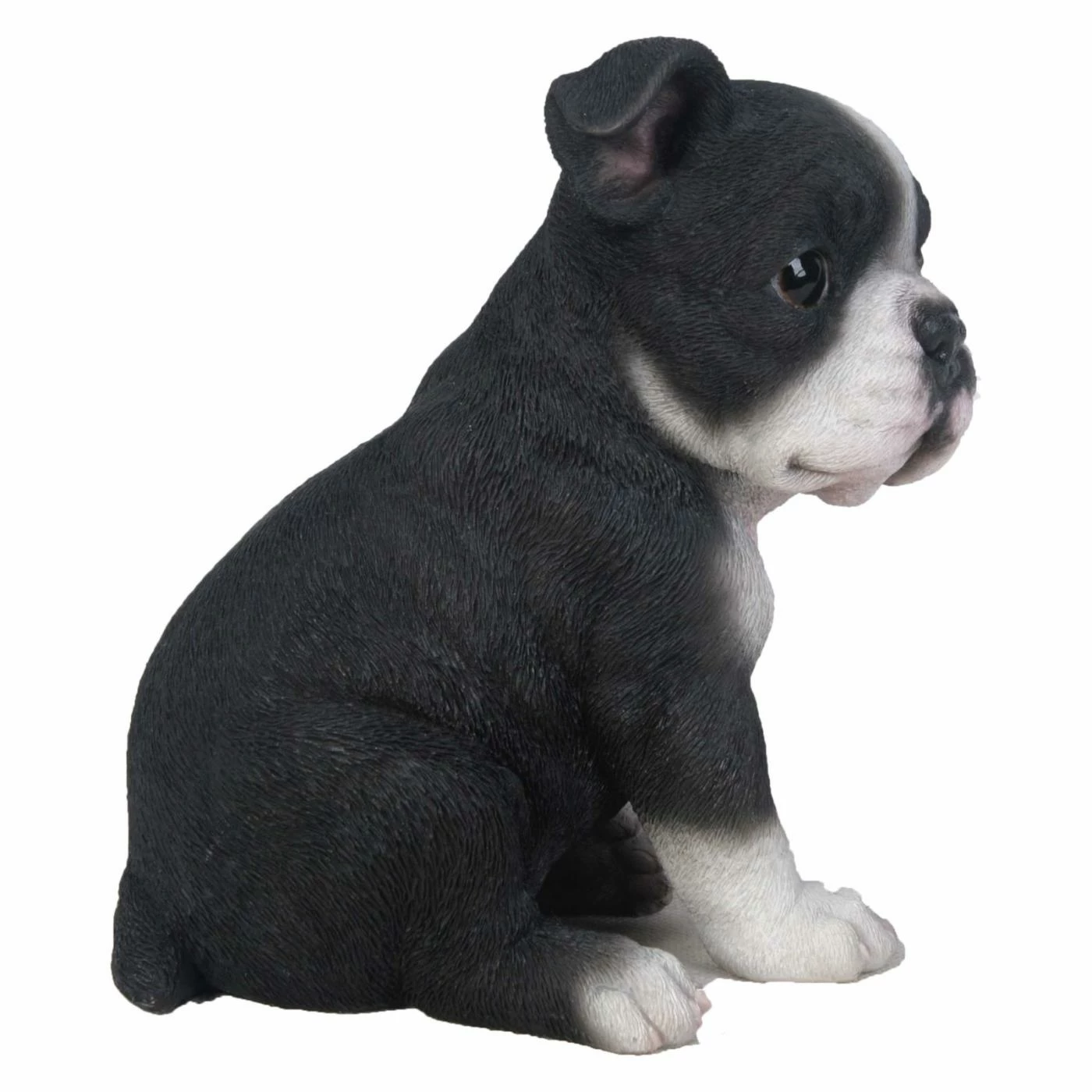 Cheap π Animal Statues Hi-Line Gift Ltd. Boston Terrier Puppy Statue π 6 Cheap π Animal Statues Hi-Line Gift Ltd. Boston Terrier Puppy Statue π - Image 4