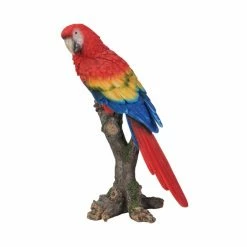 Discount ✨ Animal Statues Hi-Line Gift Ltd. Parrot On Beach Statue 🔥 12 Discount ✨ Animal Statues Hi-Line Gift Ltd. Parrot On Beach Statue 🔥 -Garden Statues Shop detail2HILI801