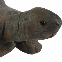 Best Sale β Animal Statues Sunnydaze Decor Todd The Tortoise Indoor/Outdoor Statue π 10 Best Sale β Animal Statues Sunnydaze Decor Todd The Tortoise Indoor/Outdoor Statue π -Garden Statues Shop detail2NETH769