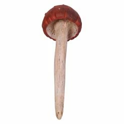 Coupon 😍 Other Garden Statues Design Toscano Garden Gnome Wild Mushroom Stake Collection 💯 -Garden Statues Shop detail2TOSC4219