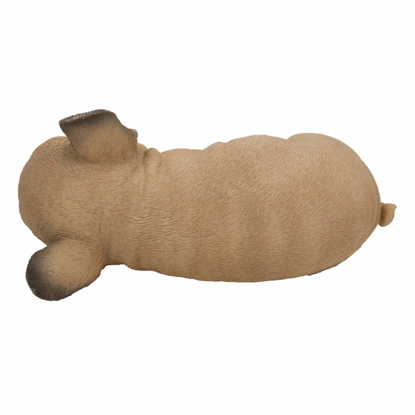 Best reviews of ❤️ Animal Statues Hi-Line Gift Ltd. Sleeping On Side Pug Puppy Statue 😉 8 Best reviews of ❤️ Animal Statues Hi-Line Gift Ltd. Sleeping On Side Pug Puppy Statue 😉 - Image 6
