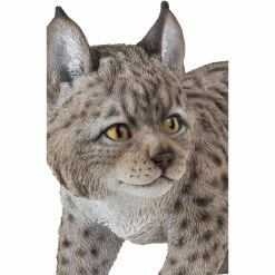 Best Sale 🔔 Animal Statues Hi-Line Gift Ltd. Lynx Kitten 🎉 14 Best Sale 🔔 Animal Statues Hi-Line Gift Ltd. Lynx Kitten 🎉 -Garden Statues Shop detail3HILI571