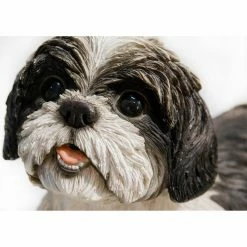 Best reviews of ❤️ Animal Statues Hi-Line Gift Ltd. Black And White Shih Tzu Lying Down ⌛ 14 Best reviews of ❤️ Animal Statues Hi-Line Gift Ltd. Black And White Shih Tzu Lying Down ⌛ -Garden Statues Shop detail3HILI619