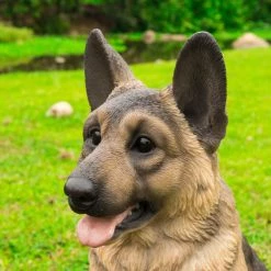 Top 10 ⭐ Animal Statues Hi-Line Gift Ltd. Small German Shepherd Sitting Garden Statue 👏 15 Top 10 ⭐ Animal Statues Hi-Line Gift Ltd. Small German Shepherd Sitting Garden Statue 👏 -Garden Statues Shop detail3HILI983
