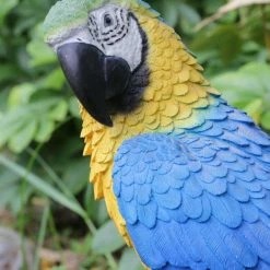 Coupon 👍 Animal Statues Hi-Line Gift Ltd. Blue And Yellow Parrot On Branch Garden Statue 🎉 -Garden Statues Shop detail3HILI987