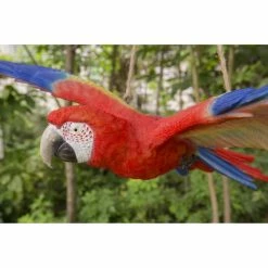 Coupon 🧨 Animal Statues Hi-Line Gift Ltd. Flying Scarlet Parrot Hanging Garden Statue 👍 -Garden Statues Shop detail3HILI988