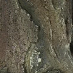 Cheap ✨ Sunnydaze Decor Animal Statues Sunnydaze Owl Duo On Tree Stump Statue 👏 -Garden Statues Shop detail3NETH1452