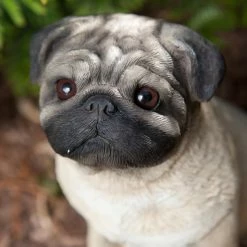 New 😉 Animal Statues Sandicast Original Size Fawn Pug Sculpture - Sitting ⌛ -Garden Statues Shop detail3SAND127