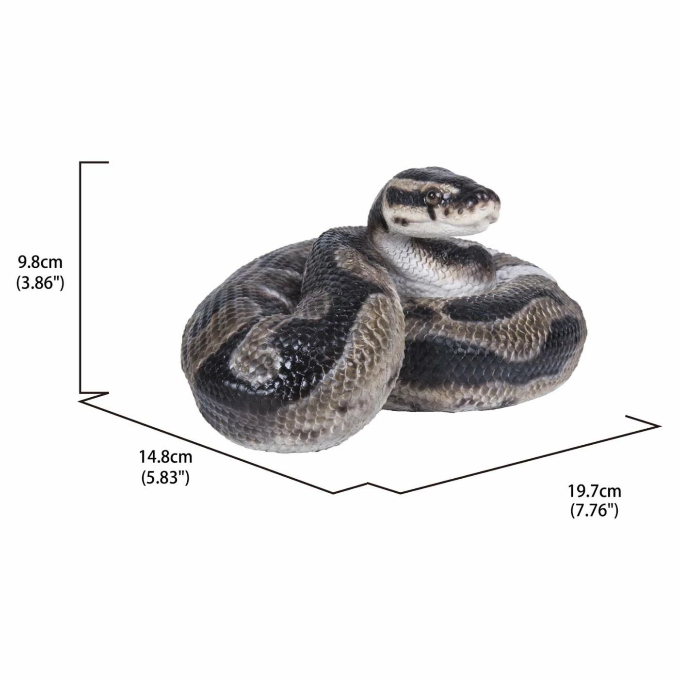 Cheapest ✨ Animal Statues Hi-Line Gift Ltd. Regius Ball Python Figurine 🔥 9 Cheapest ✨ Animal Statues Hi-Line Gift Ltd. Regius Ball Python Figurine 🔥 - Image 7