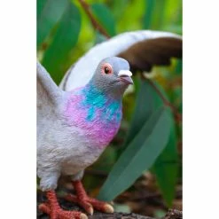 Best deal 👏 Animal Statues Hi-Line Gift Ltd. Gray Pigeon With Colored Neck Figurine 🌟 16 Best deal 👏 Animal Statues Hi-Line Gift Ltd. Gray Pigeon With Colored Neck Figurine 🌟 -Garden Statues Shop detail4HILI1058