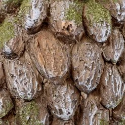 Best Sale 👏 Sunnydaze Decor Animal Statues Sunnydaze Hazel The Hedgehog Indoor/Outdoor Statue 👏 -Garden Statues Shop detail4NETH1439