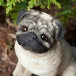 New 😉 Animal Statues Sandicast Original Size Fawn Pug Sculpture - Sitting ⌛ -Garden Statues Shop detail4SAND127