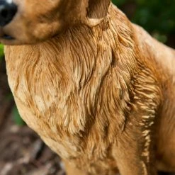 Discount 👍 Animal Statues Sandicast Original Size Golden Retriever Sculpture - Sitting 🌟 16 Discount 👍 Animal Statues Sandicast Original Size Golden Retriever Sculpture - Sitting 🌟 -Garden Statues Shop detail4SAND141