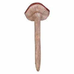 Coupon 😍 Other Garden Statues Design Toscano Garden Gnome Wild Mushroom Stake Collection 💯 -Garden Statues Shop detail4TOSC4219