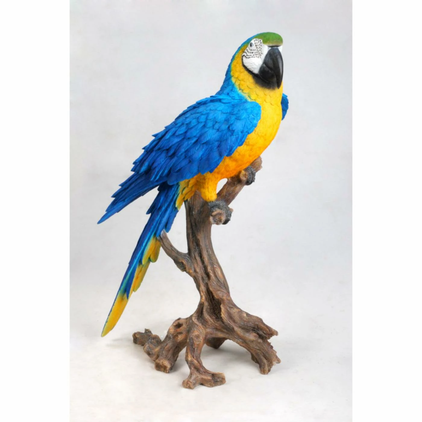 Cheapest ❤️ Animal Statues Hi-Line Gift Ltd. Large Blue And Yellow Macaw Statue 🥰 10 Cheapest ❤️ Animal Statues Hi-Line Gift Ltd. Large Blue And Yellow Macaw Statue 🥰 - Image 8
