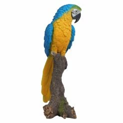 Coupon 👍 Animal Statues Hi-Line Gift Ltd. Blue And Yellow Parrot On Branch Garden Statue 🎉 -Garden Statues Shop detail5HILI987
