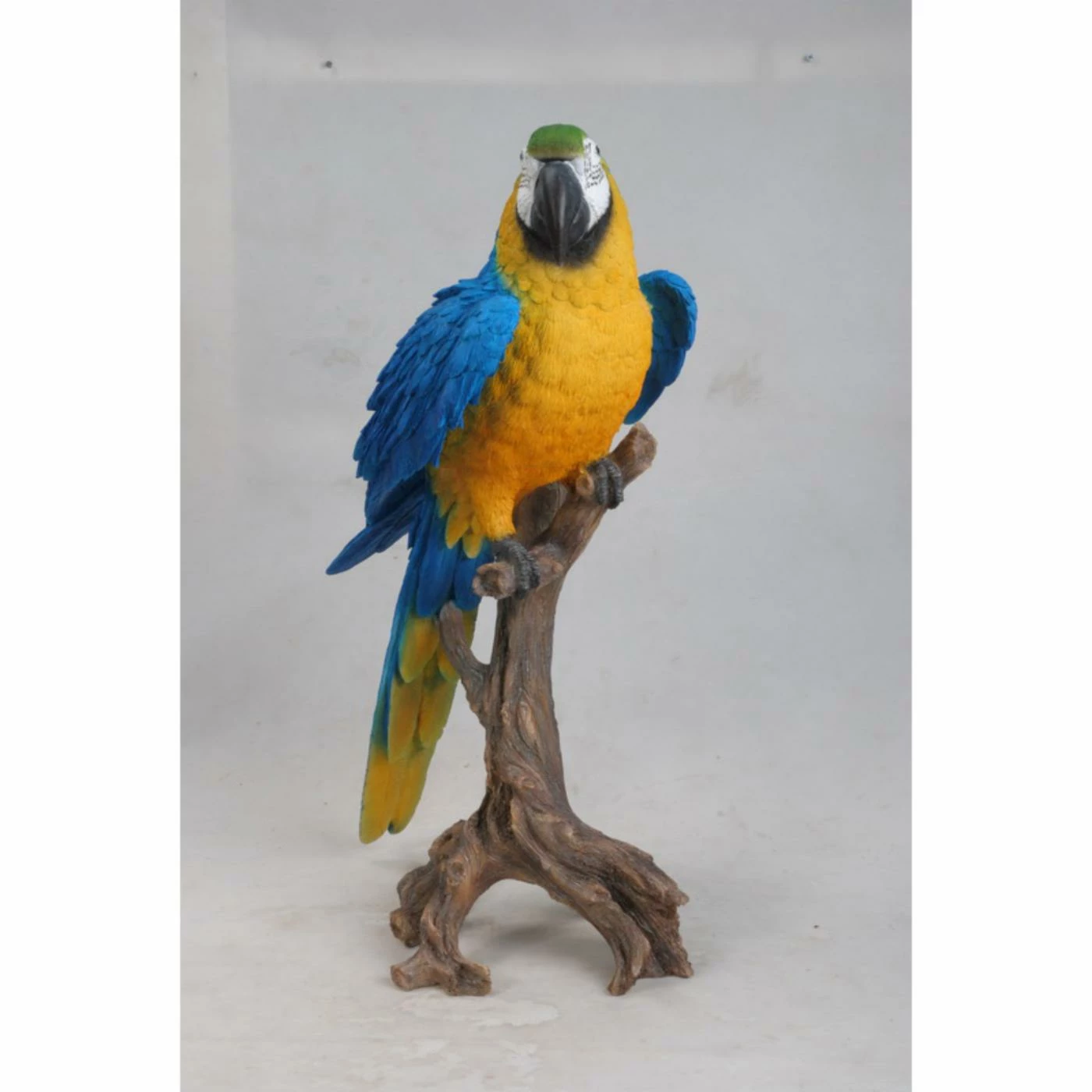 Cheapest ❤️ Animal Statues Hi-Line Gift Ltd. Large Blue And Yellow Macaw Statue 🥰 12 Cheapest ❤️ Animal Statues Hi-Line Gift Ltd. Large Blue And Yellow Macaw Statue 🥰 - Image 10