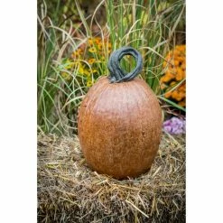Brand new 🤩 Fruit & Floral Athena Garden Peter Pumpkin 😀 -Garden Statues Shop detailATHG041