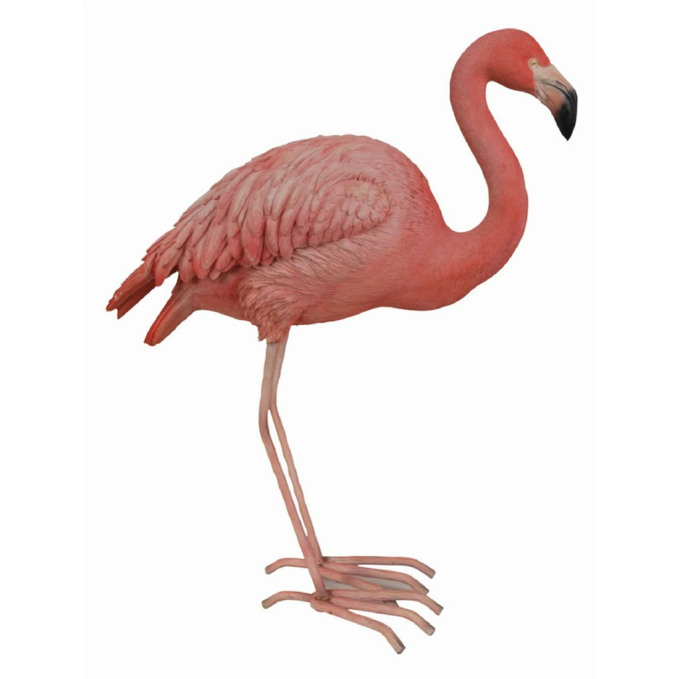 Flash Sale ๐ Animal Statues Hi-Line Gift Ltd. Flamingo Bird Garden Statue ๐ 5 Flash Sale ๐ Animal Statues Hi-Line Gift Ltd. Flamingo Bird Garden Statue ๐ - Image 3