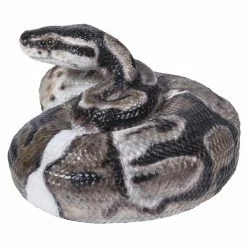 Cheapest ✨ Animal Statues Hi-Line Gift Ltd. Regius Ball Python Figurine 🔥 11 Cheapest ✨ Animal Statues Hi-Line Gift Ltd. Regius Ball Python Figurine 🔥 -Garden Statues Shop detailHILI1056