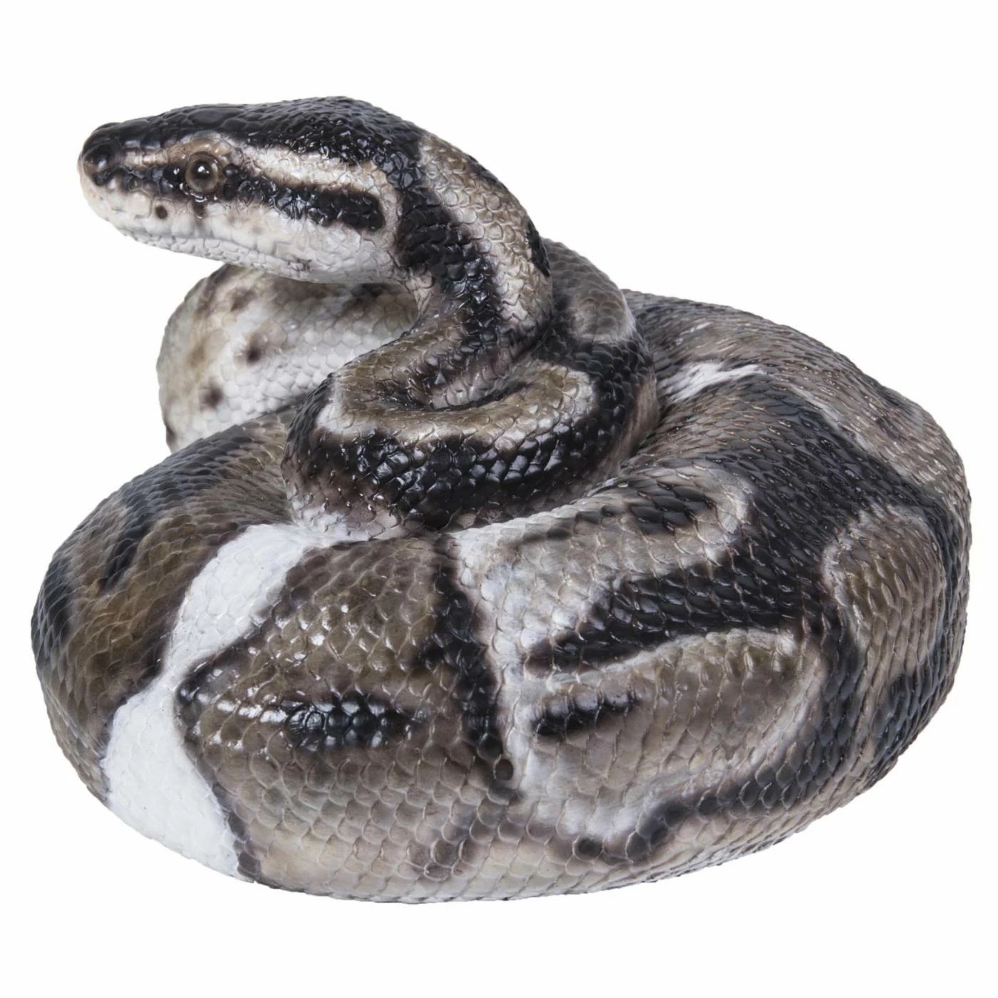 Cheapest ✨ Animal Statues Hi-Line Gift Ltd. Regius Ball Python Figurine 🔥 5 Cheapest ✨ Animal Statues Hi-Line Gift Ltd. Regius Ball Python Figurine 🔥 - Image 3