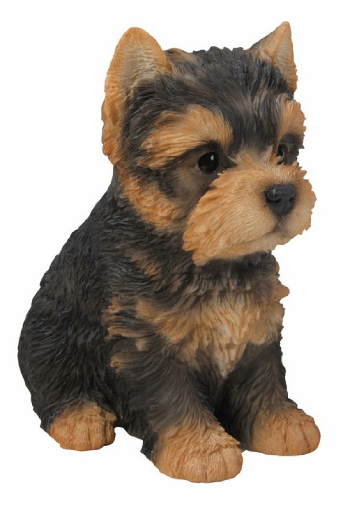 Cheap โ๏ธ Animal Statues Hi-Line Gift Ltd. Sitting Yorkshire Terrier Puppy Garden Statue ๐งจ 5 Cheap โ๏ธ Animal Statues Hi-Line Gift Ltd. Sitting Yorkshire Terrier Puppy Garden Statue ๐งจ - Image 3