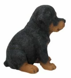 New 🔔 Animal Statues Hi-Line Gift Ltd. Sitting Rottweiler Puppy Garden Statue 🌟 -Garden Statues Shop detailHILI152