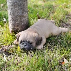 Brand new ๐ Animal Statues Hi-Line Gift Ltd. Pug Puppy Sleeping ๐ 12 Brand new ๐ Animal Statues Hi-Line Gift Ltd. Pug Puppy Sleeping ๐ -Garden Statues Shop detailHILI569