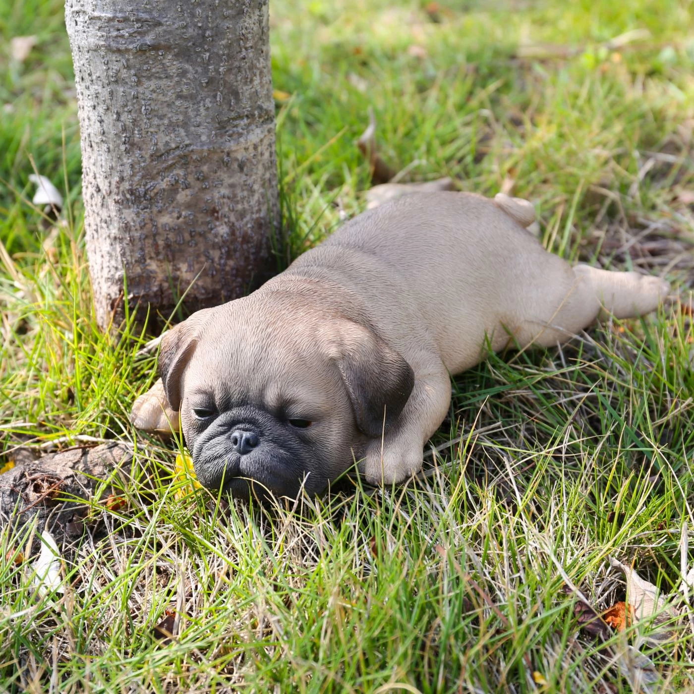 Brand new ๐ Animal Statues Hi-Line Gift Ltd. Pug Puppy Sleeping ๐ 5 Brand new ๐ Animal Statues Hi-Line Gift Ltd. Pug Puppy Sleeping ๐ - Image 3