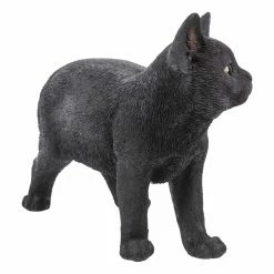 Deals ๐งจ Animal Statues Hi-Line Gift Ltd. Black Cat Walking Garden Statue โ๏ธ 10 Deals ๐งจ Animal Statues Hi-Line Gift Ltd. Black Cat Walking Garden Statue โ๏ธ -Garden Statues Shop detailHILI979