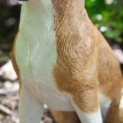 Discount 🔔 Animal Statues Sandicast Original Size Fawn Boxer Sculpture ✨ 11 Discount 🔔 Animal Statues Sandicast Original Size Fawn Boxer Sculpture ✨ -Garden Statues Shop detailSAND144