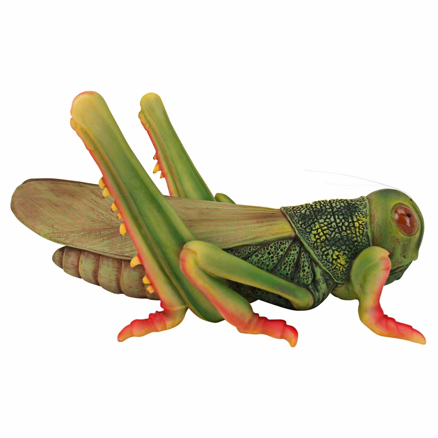 Brand new ๐ Other Garden Statues Design Toscano Ricochet The Grasshopper Garden Statue ๐ 5 Brand new ๐ Other Garden Statues Design Toscano Ricochet The Grasshopper Garden Statue ๐ - Image 3