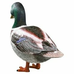 Best Pirce 😀 Animal Statues Design Toscano Massive Mallard Duck Statue ⌛ -Garden Statues Shop detailTOSC2449