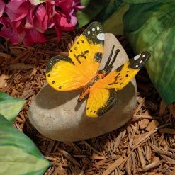 Best reviews of 😀 Animal Statues Design Toscano Butterfly On Rock Statue 👍 -Garden Statues Shop detailTOSC2472
