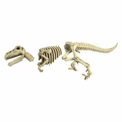 Coupon 🛒 Animal Statues Design Toscano Raptor Skeleton Garden Sculpture 🧨 -Garden Statues Shop detailTOSC749