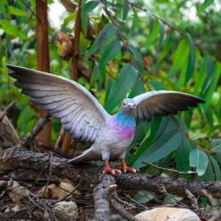 Best deal 👏 Animal Statues Hi-Line Gift Ltd. Gray Pigeon With Colored Neck Figurine 🌟 11 Best deal 👏 Animal Statues Hi-Line Gift Ltd. Gray Pigeon With Colored Neck Figurine 🌟 -Garden Statues Shop inuseHILI1058