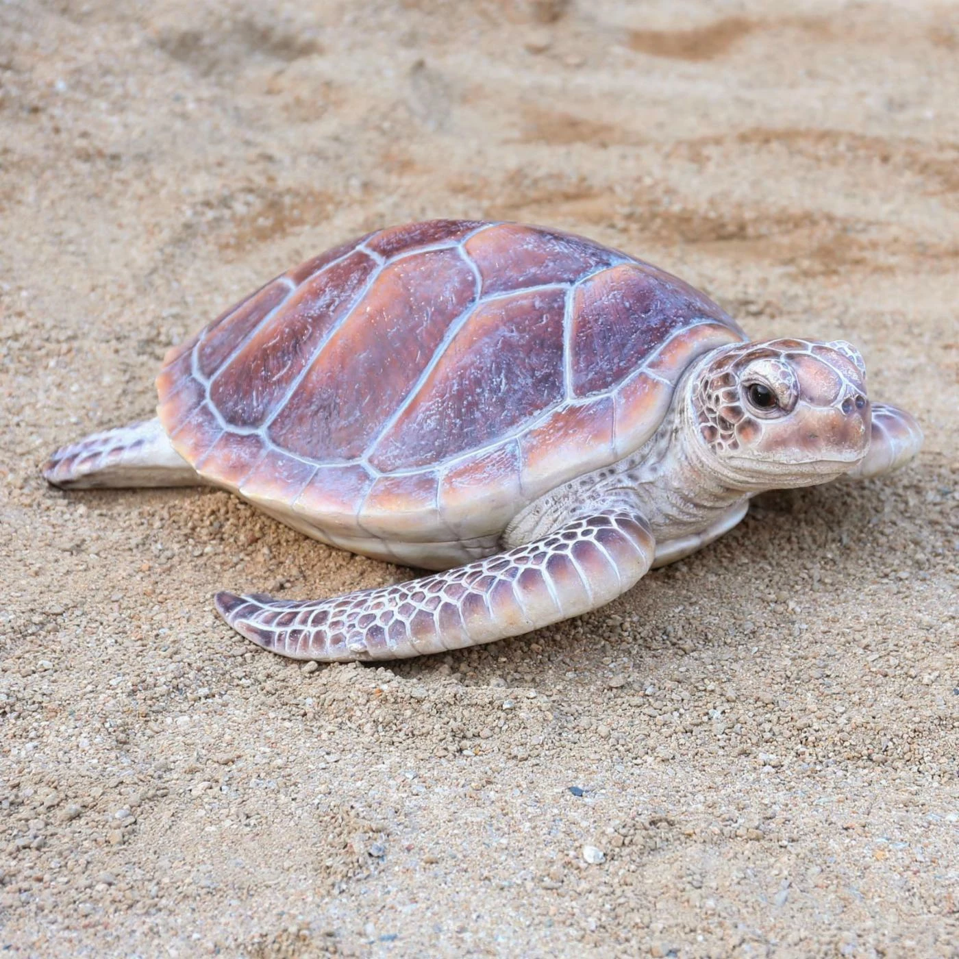 Best Sale ⭐ Animal Statues Hi-Line Gift Ltd. Large Sea Turtle Figurine ❤️ 4 Best Sale ⭐ Animal Statues Hi-Line Gift Ltd. Large Sea Turtle Figurine ❤️ - Image 2