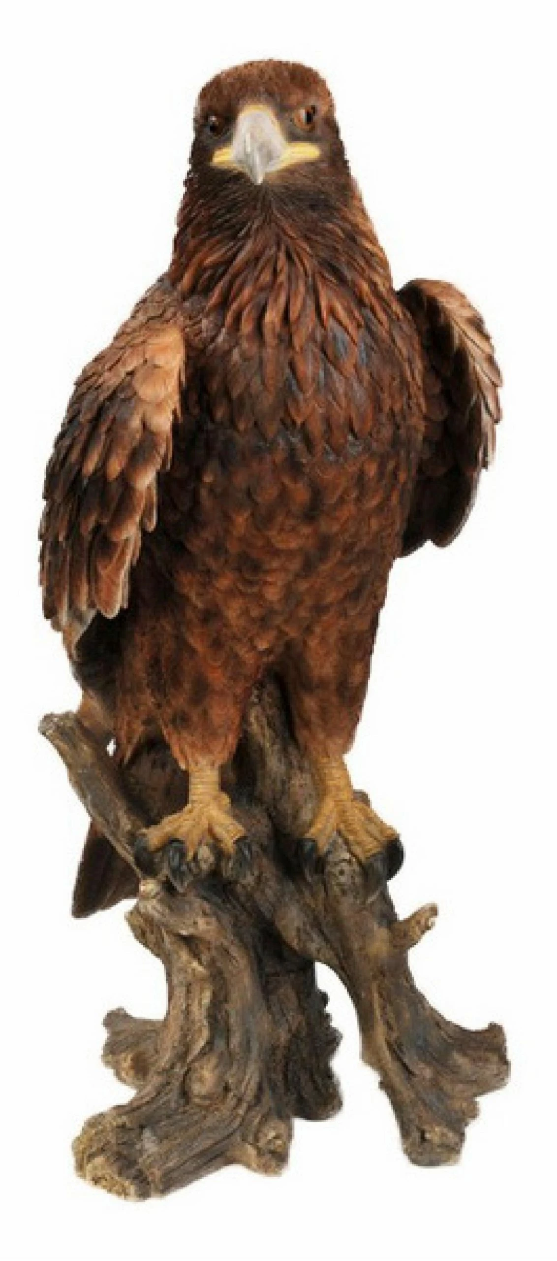 Discount 🎁 Animal Statues Hi-Line Gift Ltd. Golden Eagle Garden Statue ✔️ 4 Discount 🎁 Animal Statues Hi-Line Gift Ltd. Golden Eagle Garden Statue ✔️ - Image 2