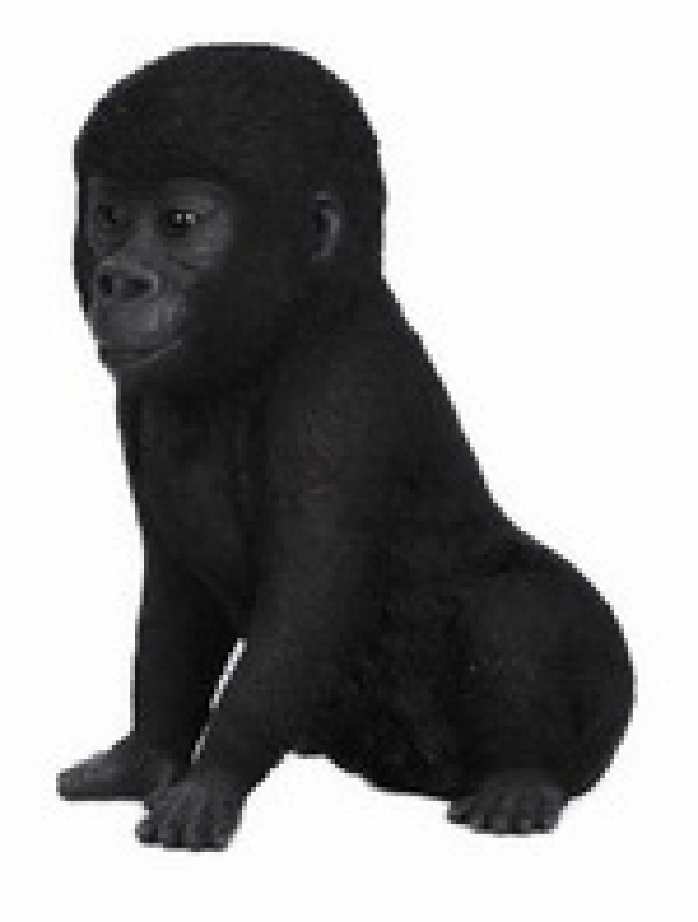 Top 10 ๐ฅ Animal Statues Hi-Line Gift Ltd. Baby Gorilla Garden Statue ๐งจ 4 Top 10 ๐ฅ Animal Statues Hi-Line Gift Ltd. Baby Gorilla Garden Statue ๐งจ - Image 2