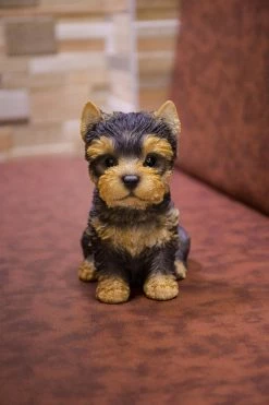 Cheap โ๏ธ Animal Statues Hi-Line Gift Ltd. Sitting Yorkshire Terrier Puppy Garden Statue ๐งจ 9 Cheap โ๏ธ Animal Statues Hi-Line Gift Ltd. Sitting Yorkshire Terrier Puppy Garden Statue ๐งจ -Garden Statues Shop inuseHILI151