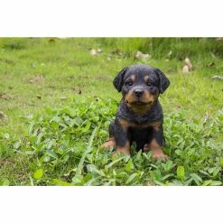 New 🔔 Animal Statues Hi-Line Gift Ltd. Sitting Rottweiler Puppy Garden Statue 🌟 -Garden Statues Shop inuseHILI152