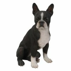 Best reviews of 🔥 Animal Statues Hi-Line Gift Ltd. Boston Terrier 🐶 Dog Garden Statue 😀 -Garden Statues Shop inuseHILI160