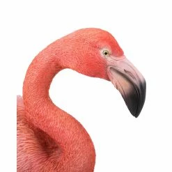Buy ๐ Animal Statues Hi-Line Gift Ltd. Flamingo Standing ๐งจ 10 Buy ๐ Animal Statues Hi-Line Gift Ltd. Flamingo Standing ๐งจ -Garden Statues Shop inuseHILI516