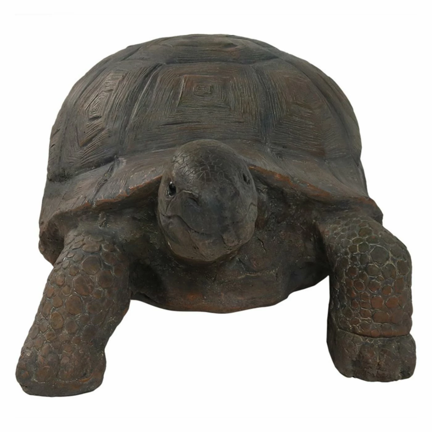 Best Sale β Animal Statues Sunnydaze Decor Todd The Tortoise Indoor/Outdoor Statue π 4 Best Sale β Animal Statues Sunnydaze Decor Todd The Tortoise Indoor/Outdoor Statue π - Image 2