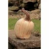 Hot Sale 💯 Other Garden Statues Athena Garden Why Not Fall Pumpkin 💯