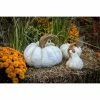 Cheapest 😉 Fruit & Floral Athena Garden Cinderella Pumpkin - Set Of 3 😍 1 Cheapest 😉 Fruit & Floral Athena Garden Cinderella Pumpkin - Set Of 3 😍 -Garden Statues Shop masterATHG040