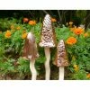 Best Pirce ๐ฅ Other Garden Statues Bosmere Tinkling Ceramic Toadstools - Set Of 3 โ๏ธ 1 Best Pirce ๐ฅ Other Garden Statues Bosmere Tinkling Ceramic Toadstools - Set Of 3 โ๏ธ -Garden Statues Shop masterBOS396