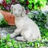 Coupon ❤️ Campania International Animal Statues Lab Puppy Garden Statue 🌟 1 Coupon ❤️ Campania International Animal Statues Lab Puppy Garden Statue 🌟 -Garden Statues Shop masterCIB035